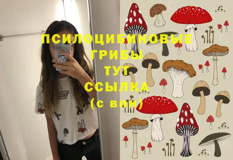 Галлюциногенные грибы MAGIC MUSHROOMS  дарнет шоп  Коммунар 